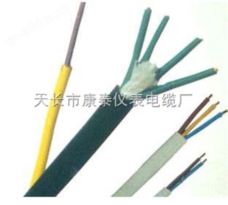 耐油耐高温防腐蚀电缆YGC-F46