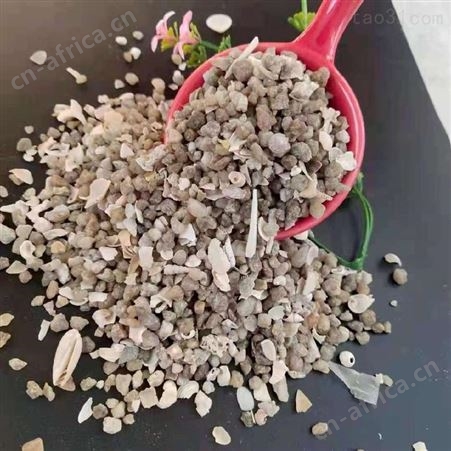 乾富供应滤料贝壳海砂 鱼缸底砂