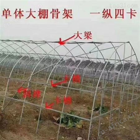 13米宽，100米长拱棚造价多少钱