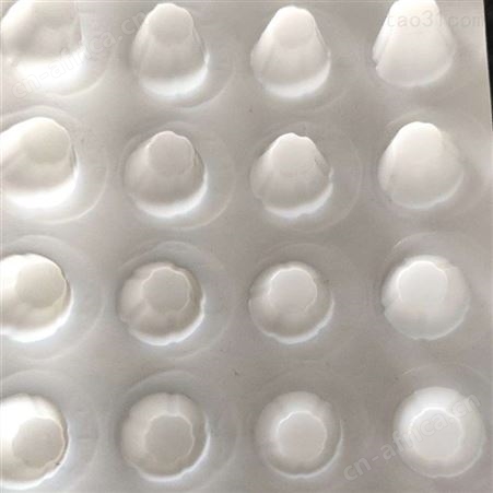 房顶防水板车库防水板现货供应也可定制