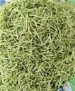 小蒜片茄子片萝卜条烘干房 海参鱼干鱿鱼烘干机 白术三七药材烘干