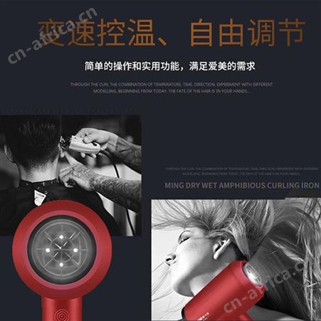GKN格卡诺 电吹风/吹风机/吹风筒 大功率家用恒温护发网红同款