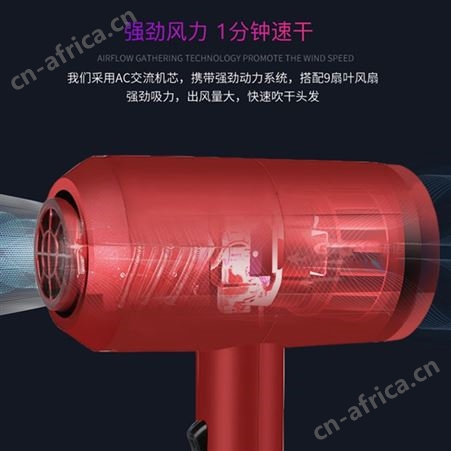 GKN格卡诺 电吹风/吹风机/吹风筒 大功率家用恒温护发网红同款
