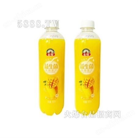 芒果益生菌大果粒果汁饮料488ml夏季饮品商超渠道
