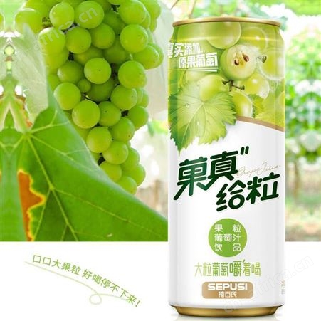 菓真给粒果粒葡萄汁500ml（箱）大粒原果葡萄嚼着喝
