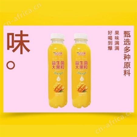 芒果益生菌大果粒果汁饮料488ml夏季饮品商超渠道