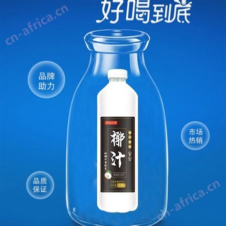 椰汁1.25LX6瓶装植物蛋白饮料果味饮品商超渠道