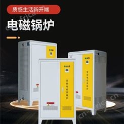 呼.伦.贝.尔.通.辽家用电采暖炉 电磁采暖炉和空气能那.个好 水