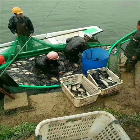 充气抬网加工定做 供应充气捕捞网 福利 批发自动充气抬网