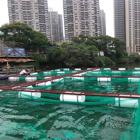 福利 60目厚网布网箱 网箱式抬网网箱 养鱼箱网箱批发