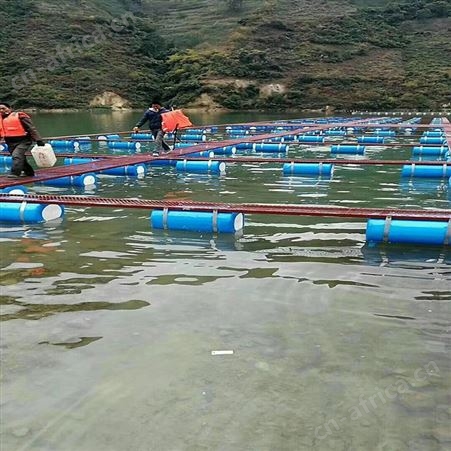 出售尼龙网箱 小龙虾防逃网箱 福利 网布特软不伤鱼网