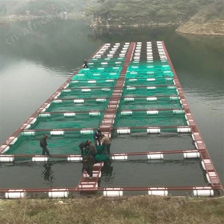 出售尼龙网箱 小龙虾防逃网箱 福利 网布特软不伤鱼网