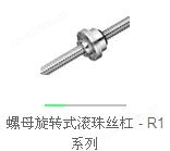 螺母旋转滚珠丝杠图