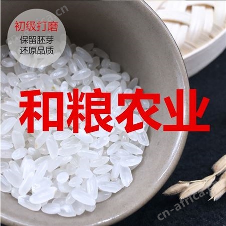 大米批发 东北黑龙江圆粒珍珠米 大学工地企业食堂秋田小町陈米批发价格 和粮农业