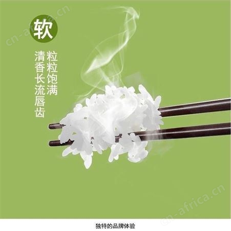 大米批发 东北黑龙江圆粒珍珠米 大学工地企业食堂秋田小町陈米批发价格 和粮农业