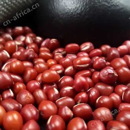 和粮农业东北红小豆出口批发OEM代加工