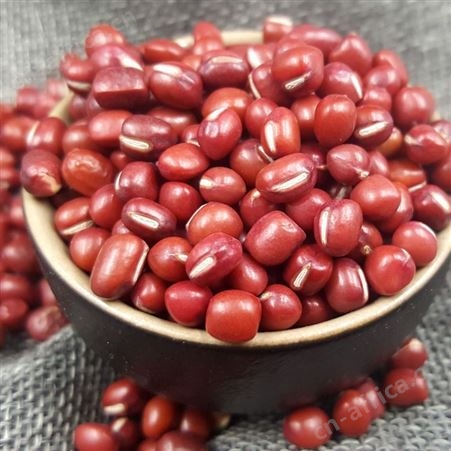 和粮农业东北红小豆出口批发OEM代加工