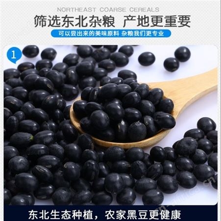 黑豆批发 产地黑龙江黑土地明水绿芯有机黑豆之乡 地理标志产品 厂家加工价格oem贴牌代加工公司