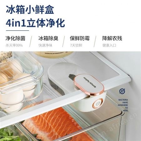 摩飞冰箱除味器 祛味臭氧杀菌空气净化器 除菌消毒去异味除臭剂