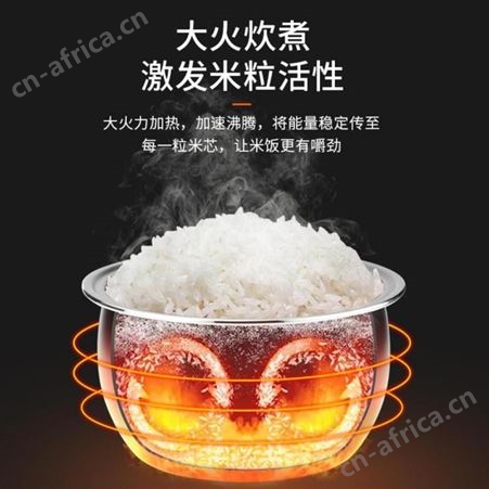 龙的 电饭煲智能4升 LD-FS45C 龙的总代理商