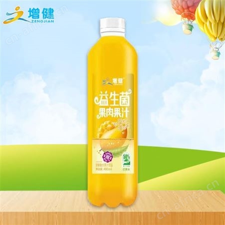 增健益生菌果肉果汁芒果味发酵复合果汁饮品渠道480ml代理