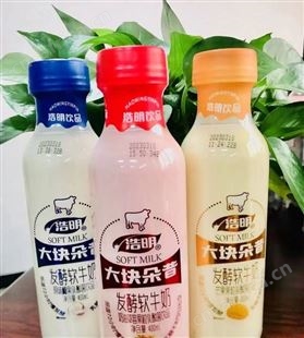 浩明芒果椰果大块朵昔发酵乳酸菌饮品招商瓶装代理400ml