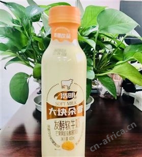 浩明芒果椰果大块朵昔发酵乳酸菌饮品招商瓶装代理400ml