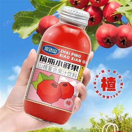 完达山芒果复合果汁饮料厂家招商招商政策好