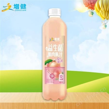 增健益生菌果肉果汁芒果味发酵复合果汁饮品渠道480ml代理
