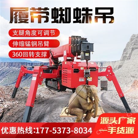 源兴小型履带蜘蛛吊 室内外工厂内起重机 遥控行走 狭小空间操作
