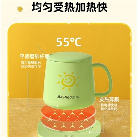 志高恒温杯55度恒温暖暖杯生日礼物纪念品礼品伴手礼电暖杯