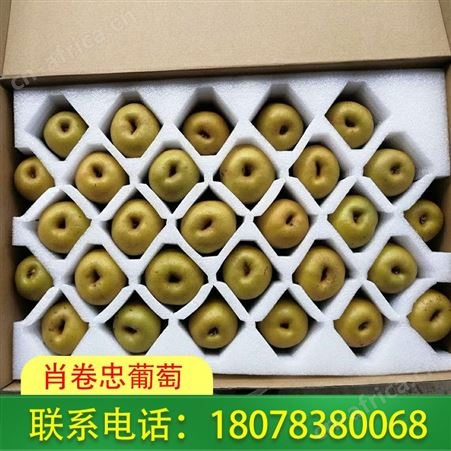 广西桂林黄金奇异果批发_请致电下单