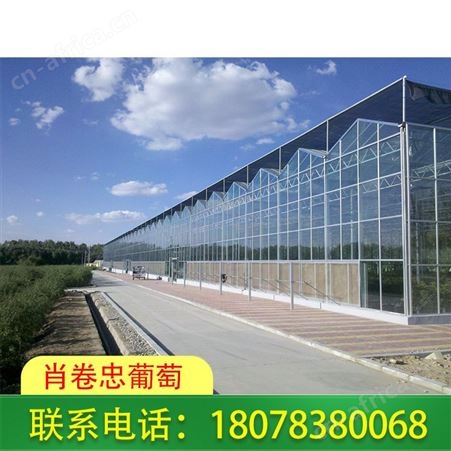 广西温室大棚|河池智能连栋花卉大棚报价优惠
