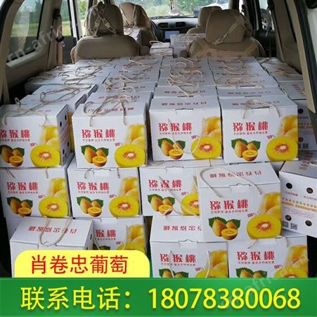 黄金奇异果酸甜口感浓郁，广西柳州发货及时