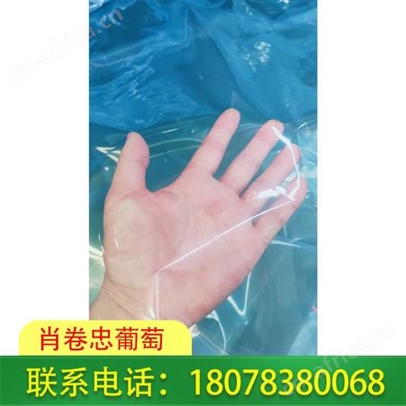 广西桂林柑橘膜耐老化，品质优，价格便宜