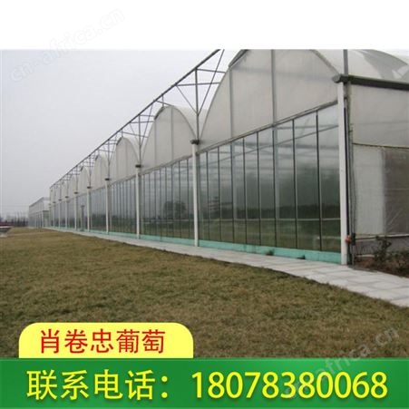 临桂智能连栋温室大棚施工搭建公司服务好