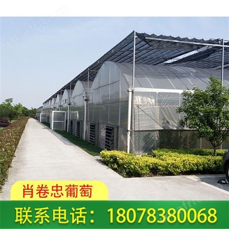 百色养牛养猪养羊大棚 强度高安装维护方便