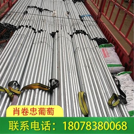 柳州钢管棚架搭建：钢结构连栋大棚造型多样