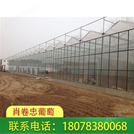 柳州玻璃连栋温室大棚适用生态餐厅、休闲观光等
