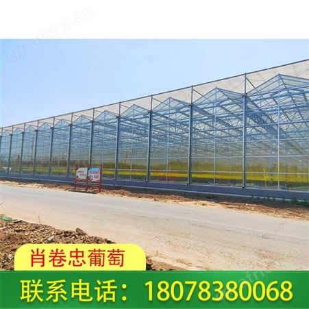 广西温室大棚|河池智能连栋花卉大棚报价优惠