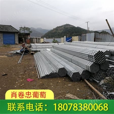 钢管蔬菜大棚架搭建-荔浦地区业务承接