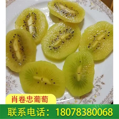 广西桂林肖卷忠葡萄种植高品质黄金奇异果，报价合适