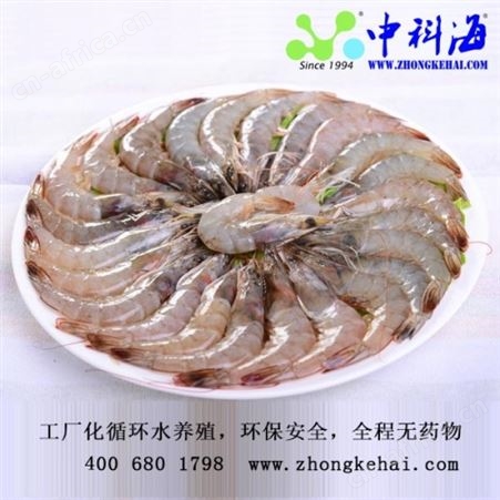 南美白对虾