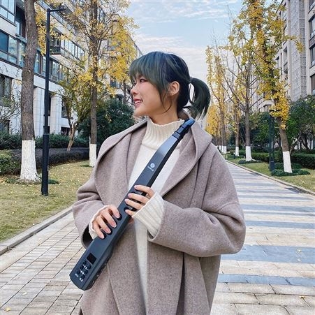 YASILE雅思乐电吹管 乐器国产初学者新型B200S电子管笛萨克斯