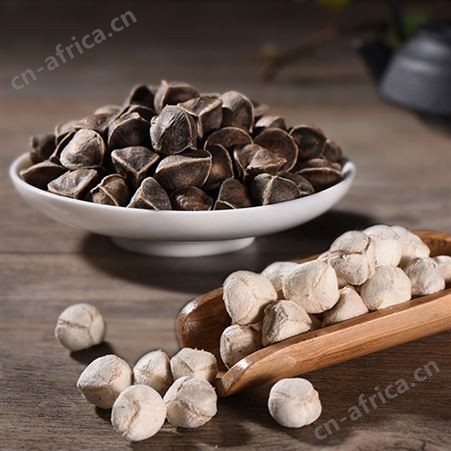 产地直供辣木籽颗粒饱满正宗食用农产品大货供应