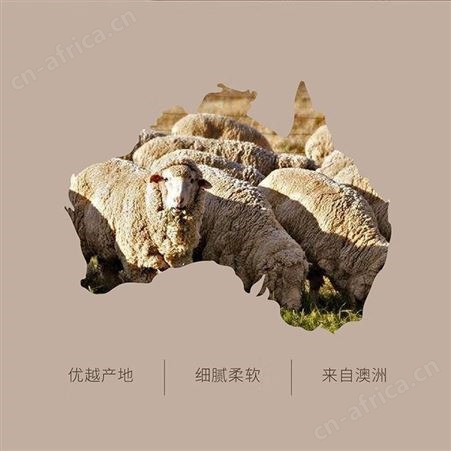 梦洁暖欣澳洲羊毛四季被tg 臻享澳毛四季被 1.5米床(200*230cm)