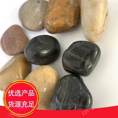 抛光鹅卵石 PGE01 鱼缸盆栽庭院装饰用 品质坚硬 提高协调性