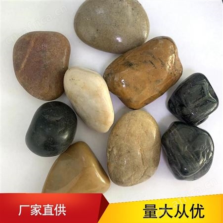 抛光鹅卵石 PGE01 鱼缸盆栽庭院装饰用 品质坚硬 提高协调性