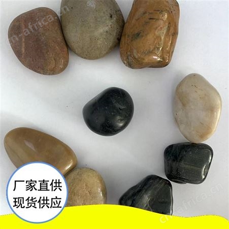 抛光鹅卵石 PGE01 鱼缸盆栽庭院装饰用 品质坚硬 提高协调性