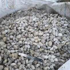 合肥砾石批发价格 白色鹅卵石 大型鹅卵石产地